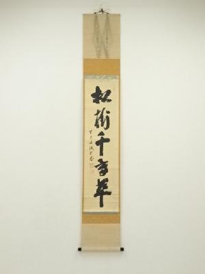 前大徳　藤井誡堂筆　「松樹千年翠」一行書　肉筆紙本掛軸（共箱）